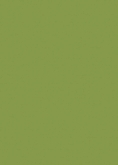 Зелёный киви U626 ST9